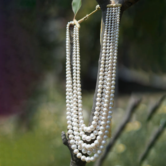 Magan- Natural Freshwater Pearls in Grading